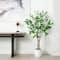 5ft. Enkianthus Tree in White Decorative Planter